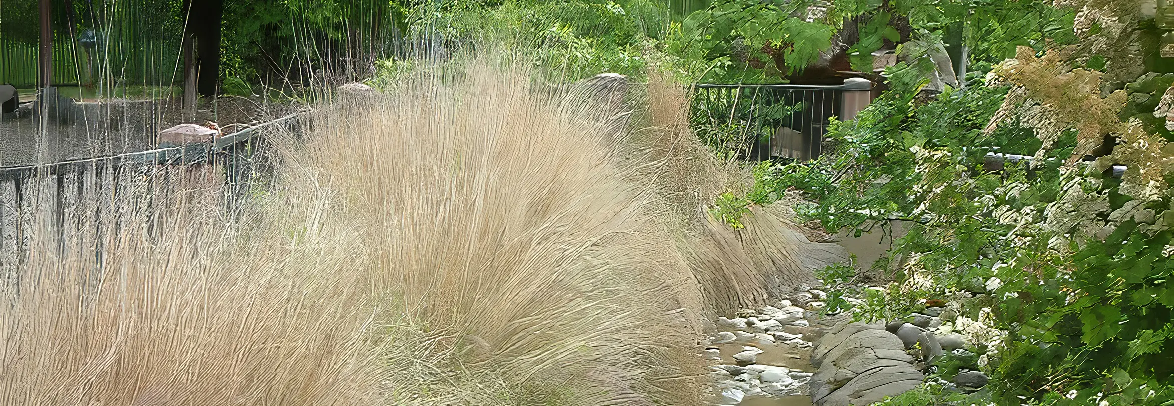 Drought-tolerant front yard with native shrubs
